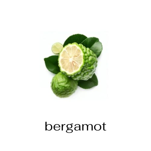 Bergamot note to make a signature scent - custom fragrance creation studio niche perfume store 2 locations in Atlanta