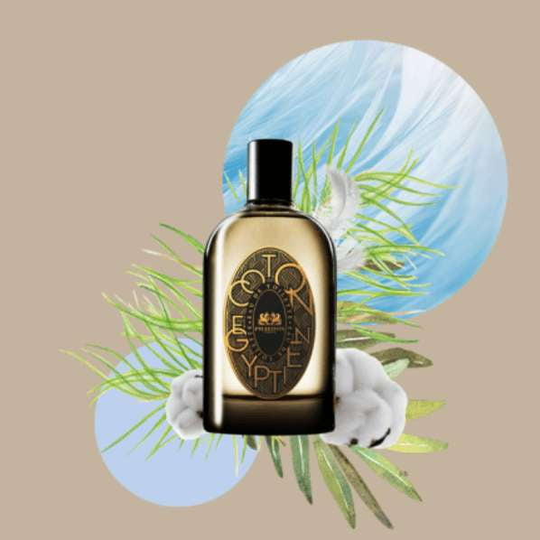 COTON EGYPTIEN - Phaedon Paris - INDIEHOUSE modern fragrances