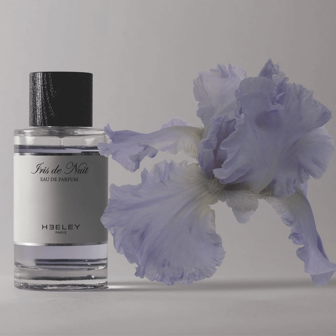 Iris de Nuit