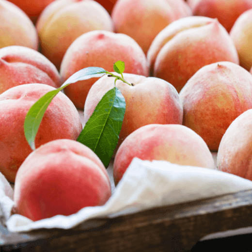 Tender Peach fruits