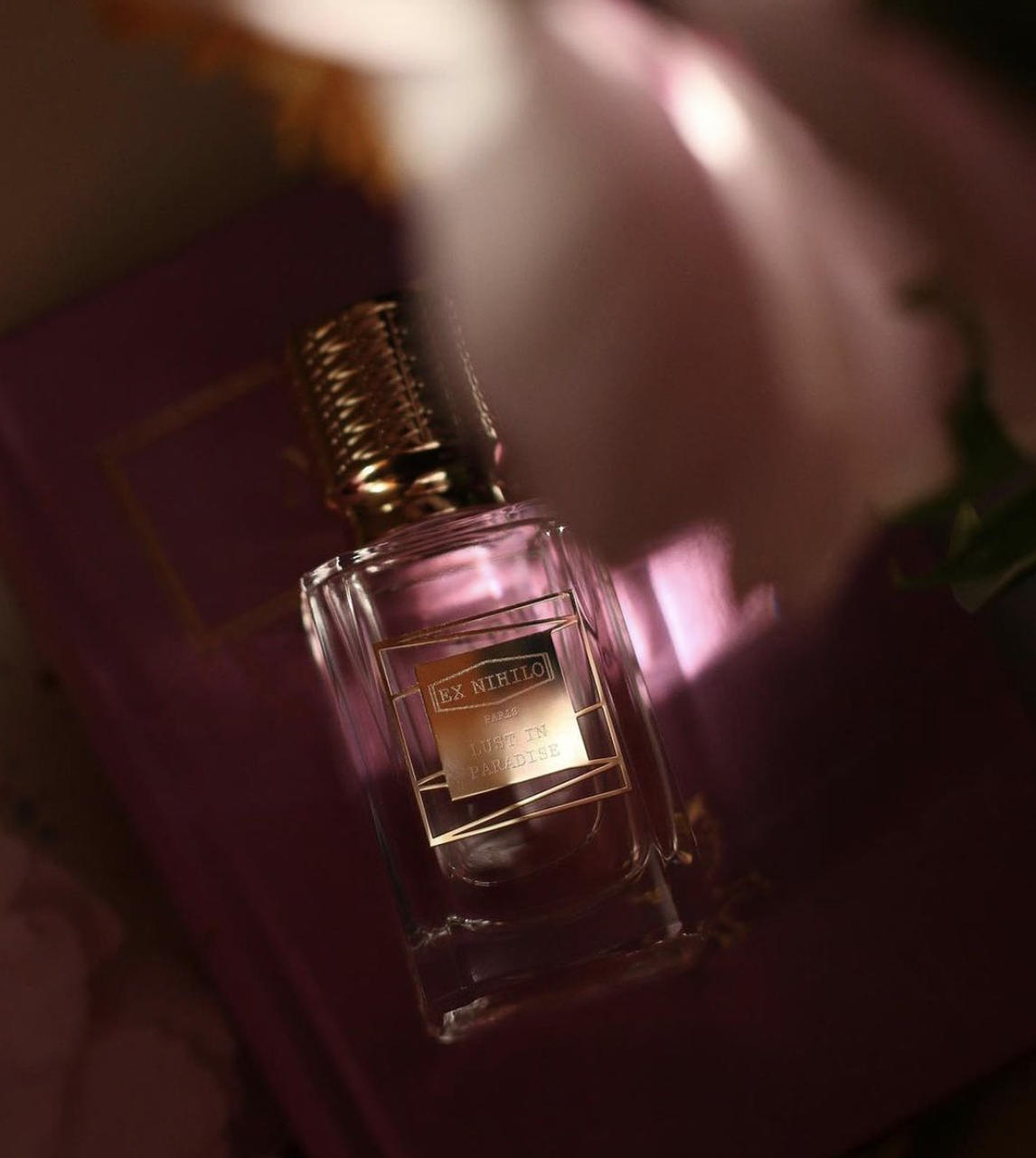 Lust in Paradise - Image 4