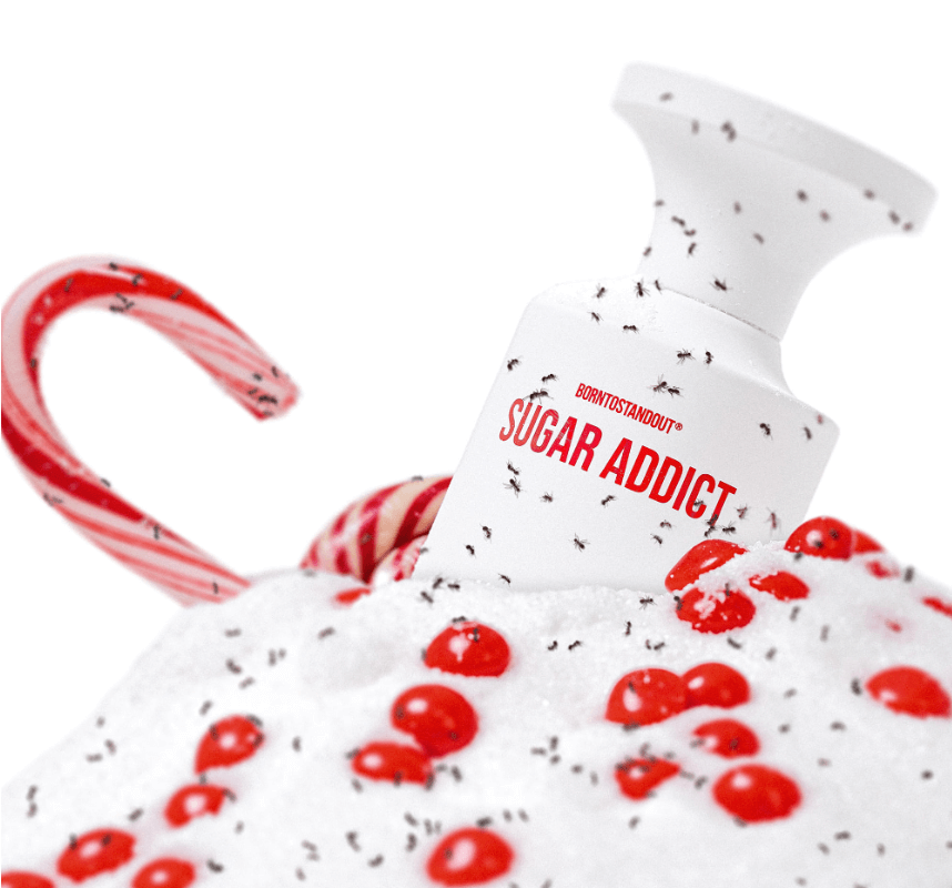 SUGAR ADDICT - Image 2