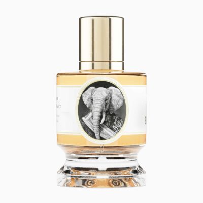 Elephant by Zoologist perfume bottle – green woody fragrance with tea, incense, and sandalwood inspired by calm strength and natural majesty.