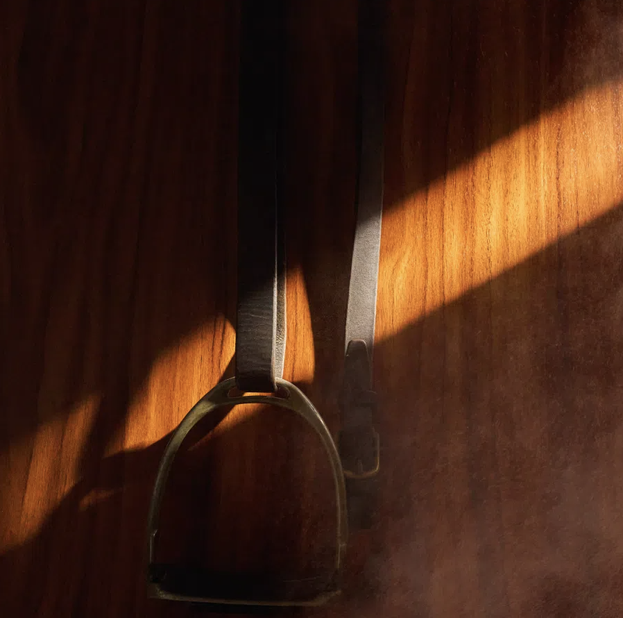 Oud Stallion Extrait de Parfum - Image 4