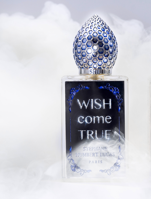 Wish Come True - Image 4