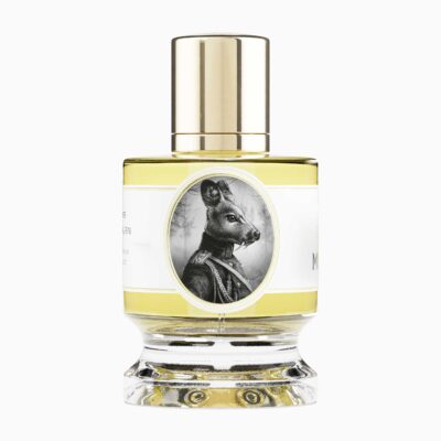 Musk Deer by Zoologist