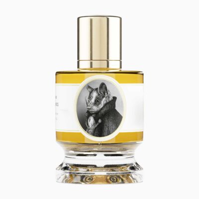 Bat (2020 Edition) by Zoologist